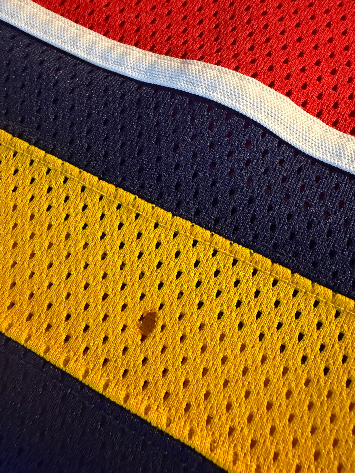 Vintage Florida Panthers Mesh Jersey