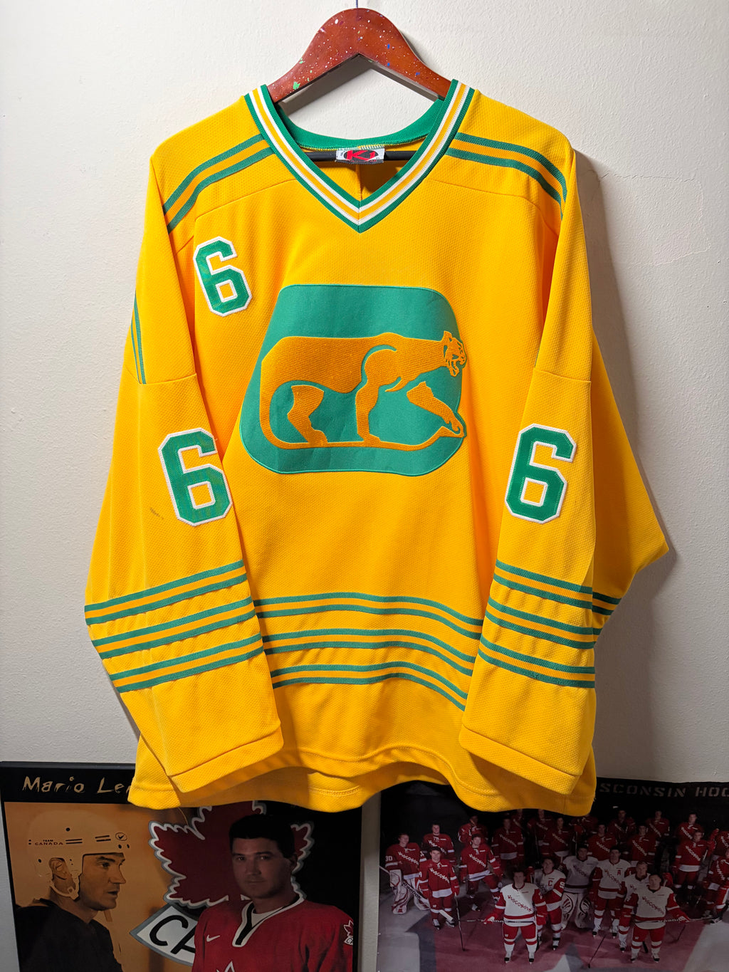Retro Reg Fleming #6 Chicago Cougars WHA Jersey (XL)