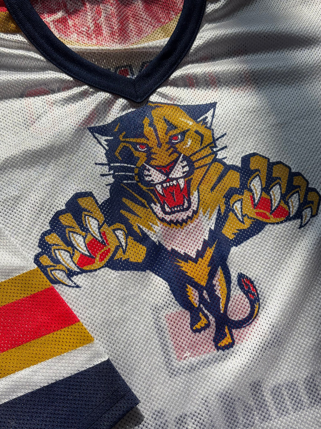 Vintage Florida Panthers Roberto Luongo #1 SGA Youth Jersey (Y-XL)