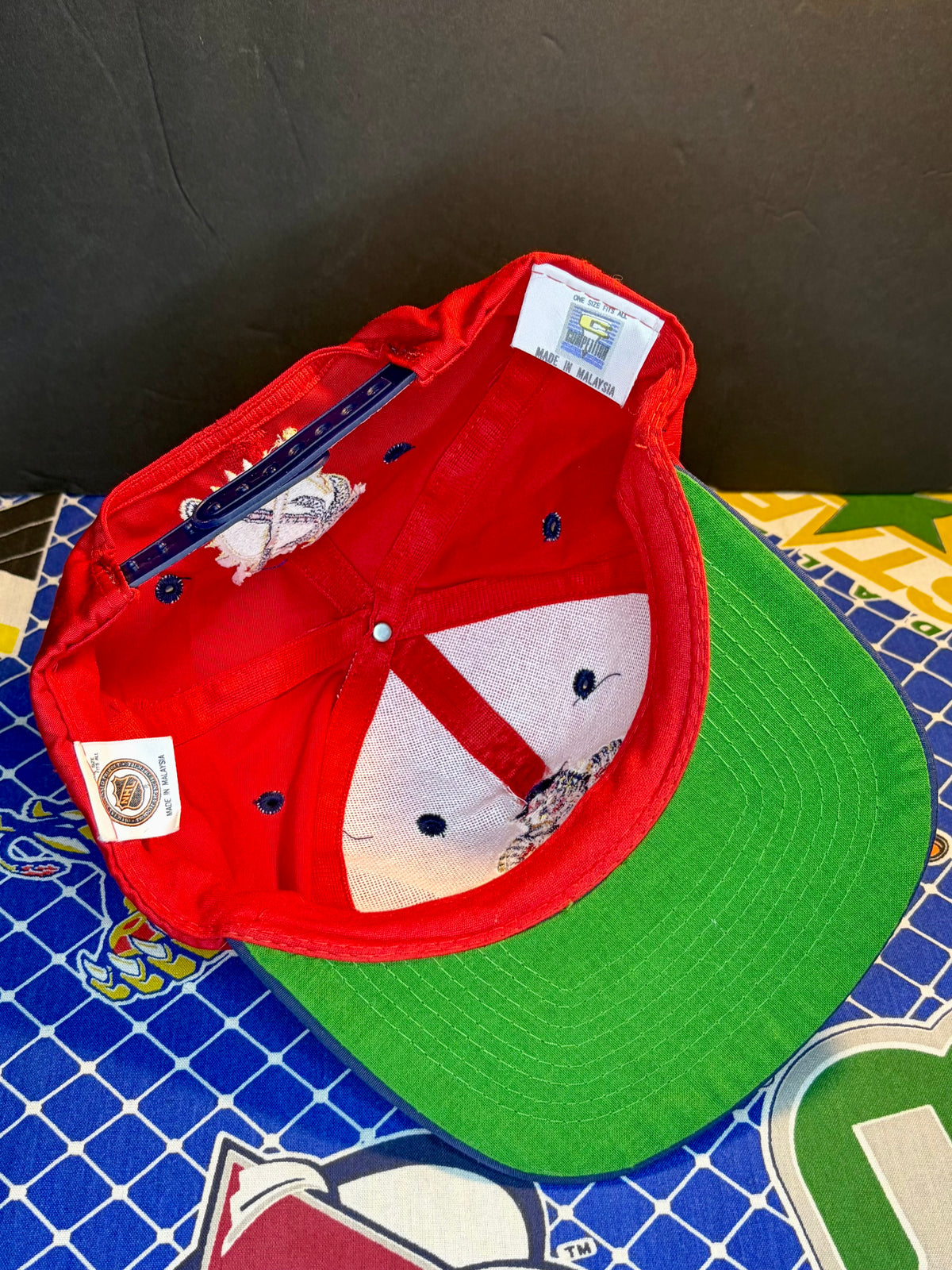 Vintage Florida Panthers Snapback Hat