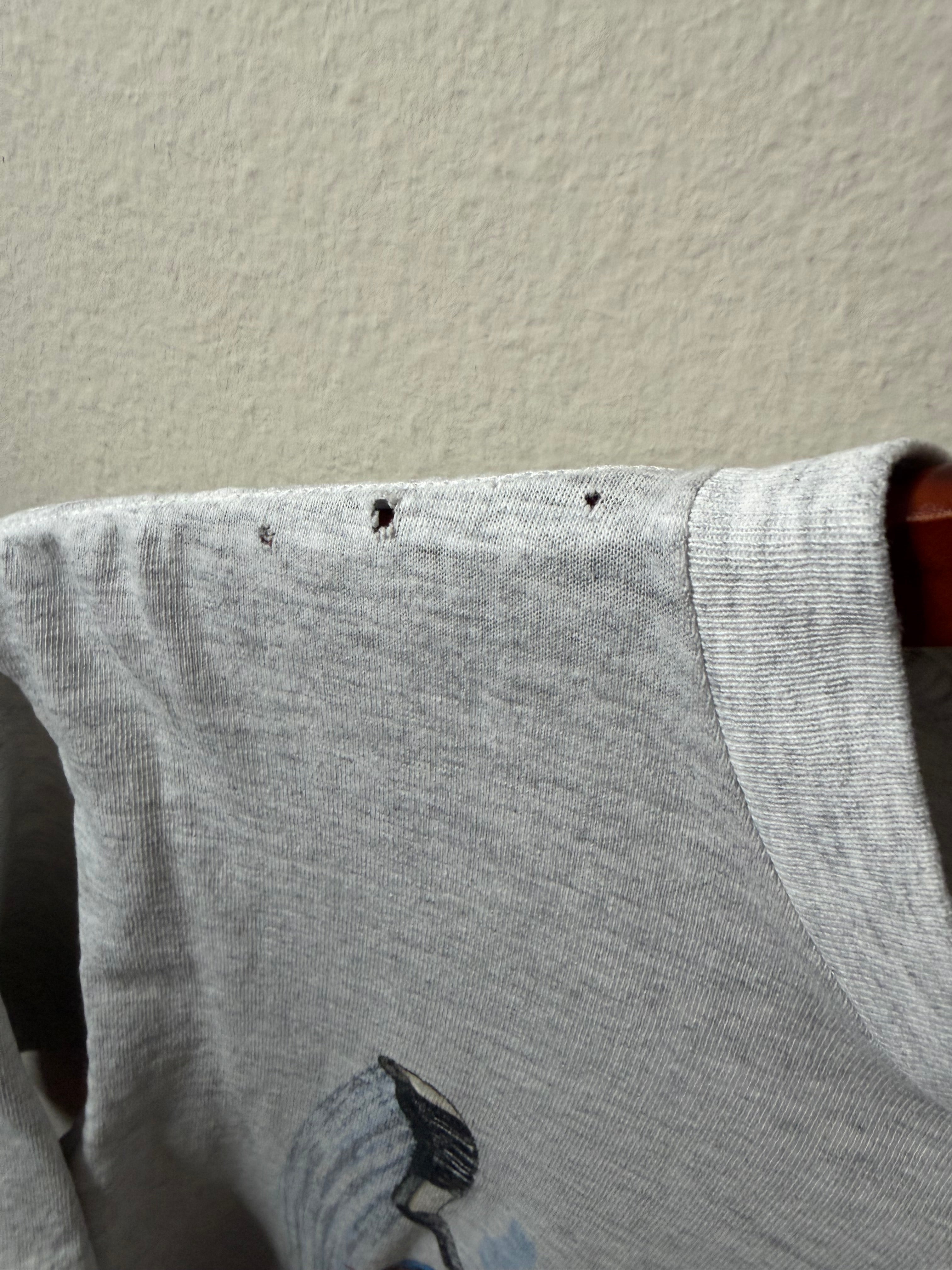 Vintage Jaromir Jagr Penguins Salem Sportswear T Shirt (M)