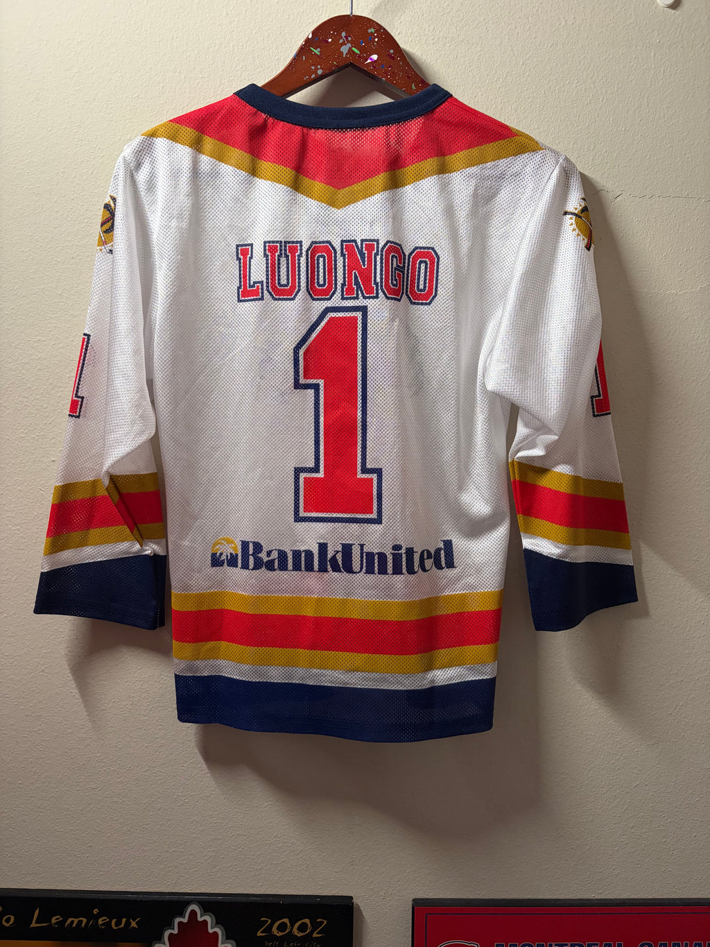 Vintage Florida Panthers Roberto Luongo #1 SGA Youth Jersey (Y-XL)