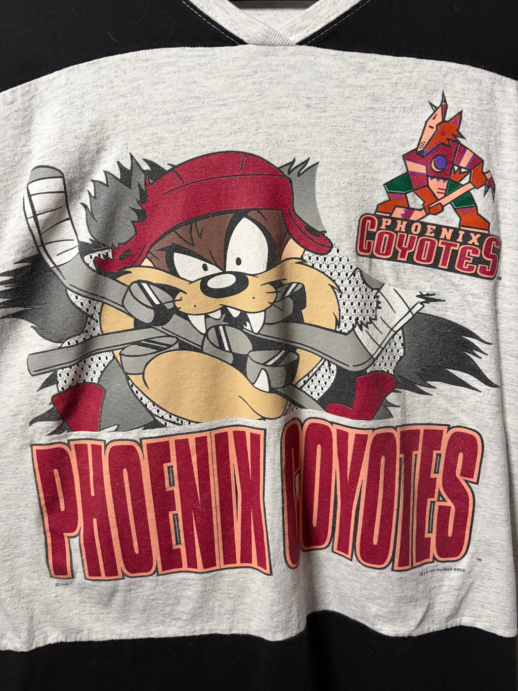 Vintage Taz Phoenix Coyotes Jersey/Shirt (XL)