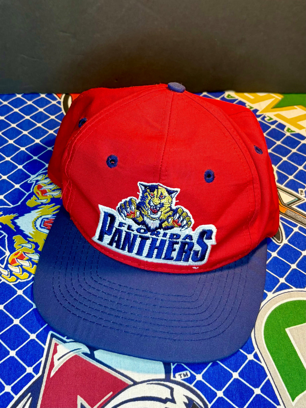 Vintage Florida Panthers Snapback Hat