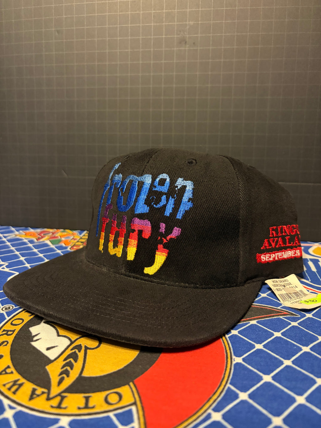 Vintage “Frozen Fury” Kings/Avalanche Snapback Hat