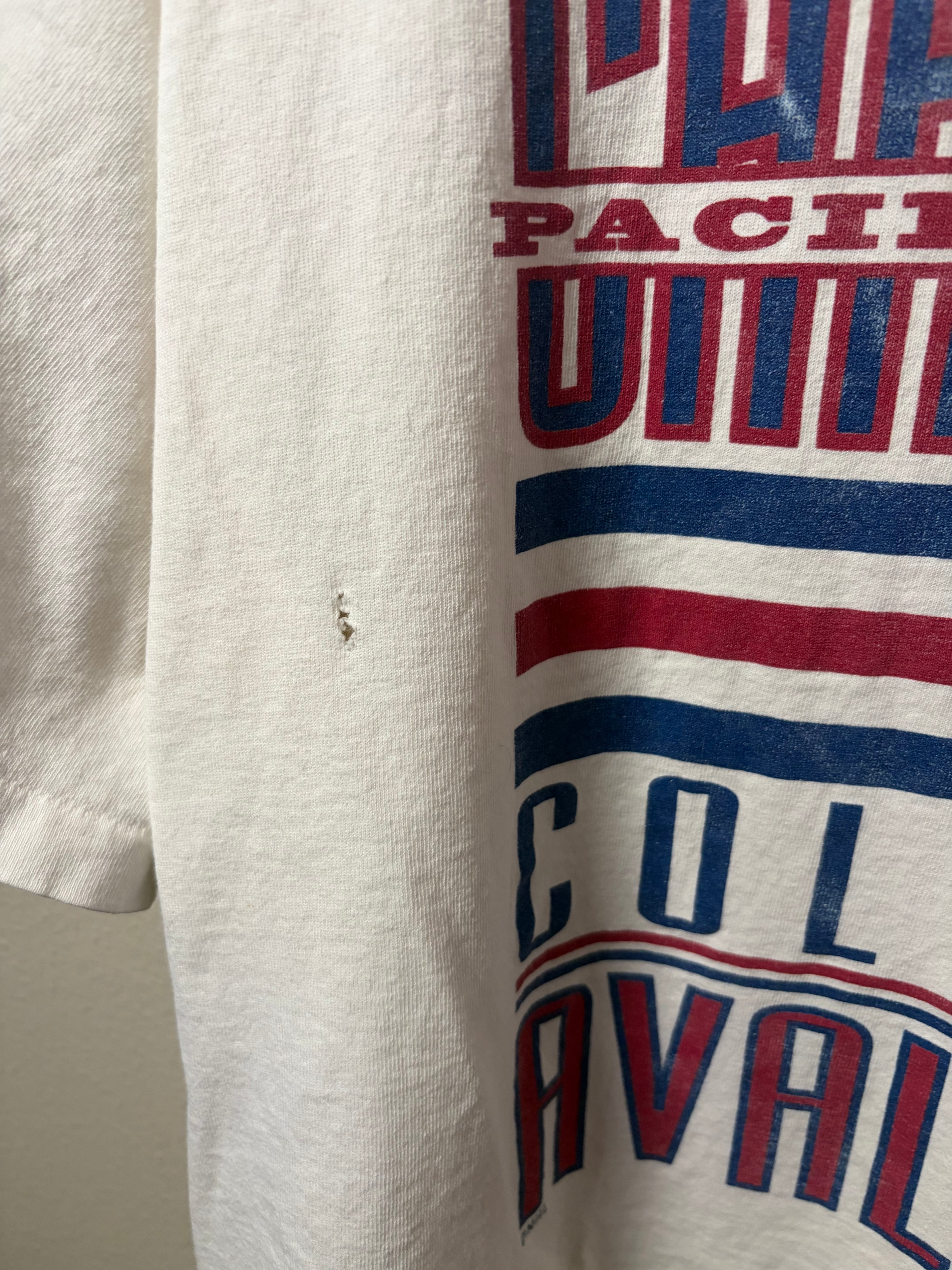 Vintage 1996 Colorado Avalanche Division Champs T Shirt (XL)