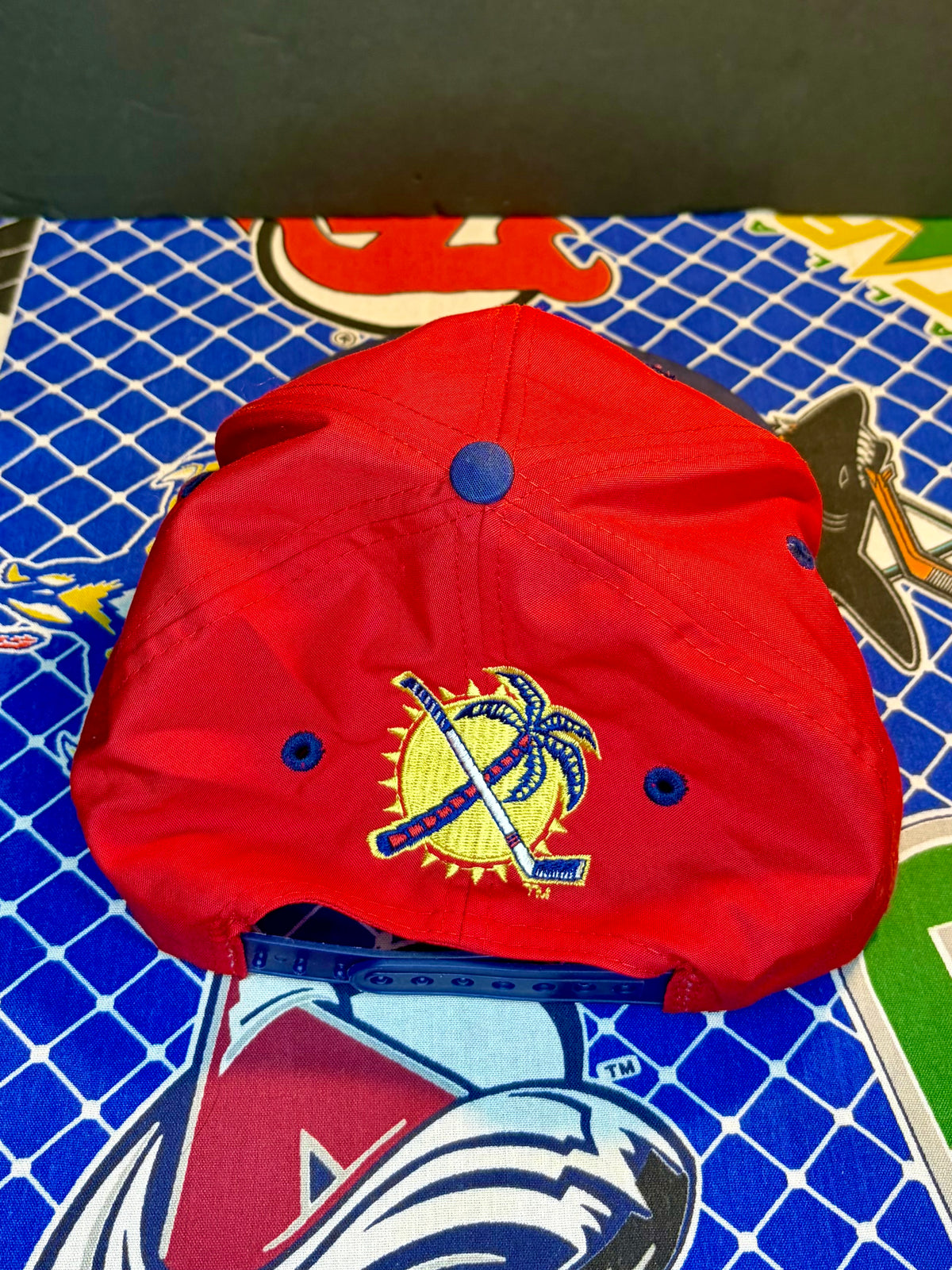 Vintage Florida Panthers Snapback Hat